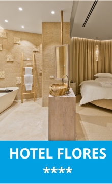 HOTEL FLORES DRUSKIENNIKI